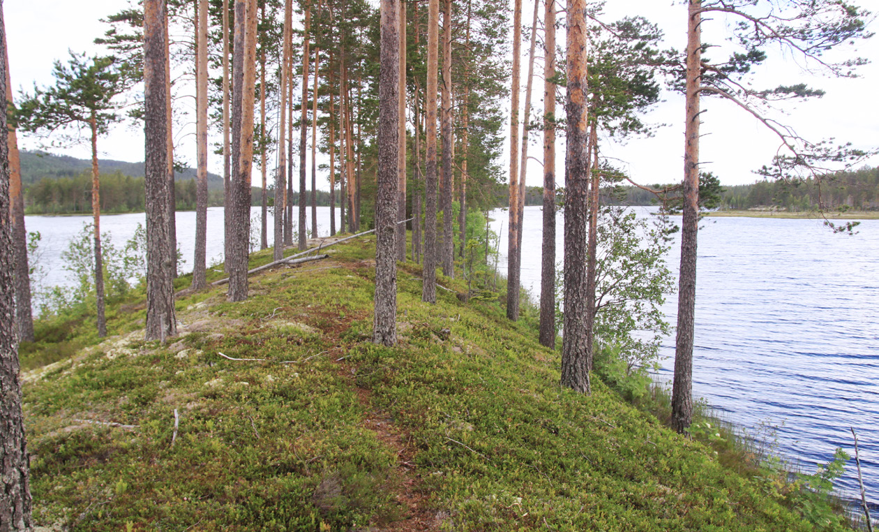 Terrägläge och geologisk översikt Grudvattemagasiet Rörbäcksäsåse är beläget i e isälvsavlagrig som sträcker sig frå Tadsjö i sydost till riksgräse mot Norge i ordväst, e sträcka på ca 13 km Området
