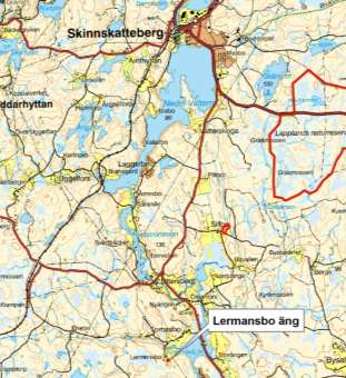 Diarienr: 511-3952-12 Bevarandeplan för Natura 2000-området Lermansbo äng Områdesnummer: SE0250182 Areal: 0,5 ha Kommun: Skinnskatteberg Lägesbeskrivning; ca 1 km SV om Tomasbo Ägandeförhållande: