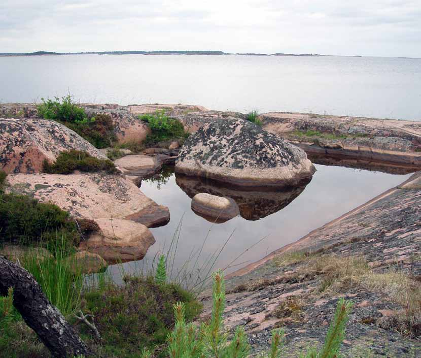 Häckfågelfaunan i östra