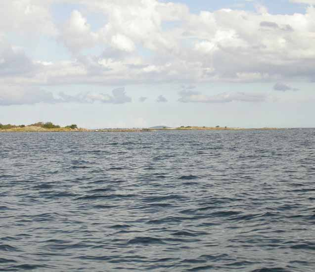 10 häckfågelfaunan i östra smålands ytterskärgård 1990-2008 skrake uppträder ibland i flockar vid skären, vilket gör det svårt att skilja ut häckare från ruggningsflockar.