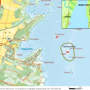 44 häckfågelfaunan i östra smålands ytterskärgård 1990-2008 Stackaskär Inv. objekt nr 85. Torsås kommun. Fågelskyddsområde. Stort fågelvärde.