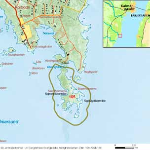 häckfågelfaunan i östra smålands ytterskärgård 1990-2008 49 ställen växer högre örtvegetation och även några mindre bestånd med buskar. Ornitologisk beskrivning: Ett relativt fågelrikt skär.