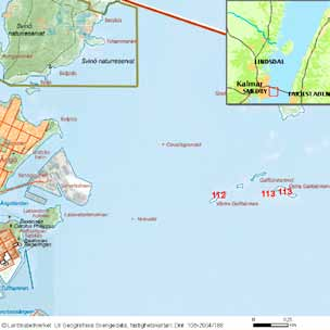 häckfågelfaunan i östra smålands ytterskärgård 1990-2008 51 Ytter Ören Inv. objekt nr 109. Kalmar kommun. Lågt fågelvärde.