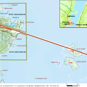 52 häckfågelfaunan i östra smålands ytterskärgård 1990-2008 koloni med gråtrut, 40 par och en koloni med havstrut, 12 par häckade på skäret.