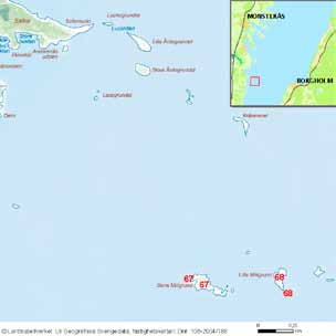 54 häckfågelfaunan i östra smålands ytterskärgård 1990-2008 Sippsören Inv. objekt nr 119. Kalmar kommun. Lågt fågelvärde.