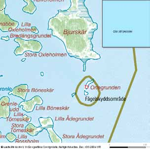 56 häckfågelfaunan i östra smålands ytterskärgård 1990-2008 Måsegrundet Inv. objekt nr 72. Mönsterås kommun. Lågt fågelvärde. Allmän beskrivning: Ett litet lågt skär i viken utanför Timmernabben.