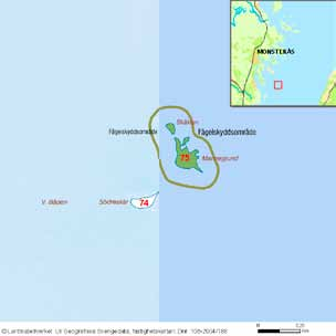 häckfågelfaunan i östra smålands ytterskärgård 1990-2008 57 av några par fisktärnor, och det kanske var några av fisktärnorna som hade häckat på Ortegrundet 2006.