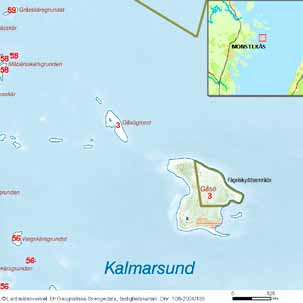 häckfågelfaunan i östra smålands ytterskärgård 1990-2008 61 kolonihäckande arter, fiskmås och silvertärna, den senare med ett bestånd som varierat mellan 4-22 par.