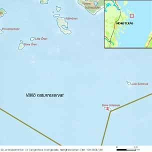 62 häckfågelfaunan i östra smålands ytterskärgård 1990-2008 Måbärsskär och Måbärsskärsgrundet Inv. objekt nr 58. Mönsterås kommun. Stort fågelvärde.