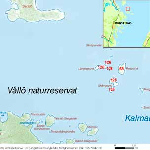 64 häckfågelfaunan i östra smålands ytterskärgård 1990-2008 Grässkärsgrund Inv. objekt nr 124. Mönsterås kommun. Vållö naturreservat. Fågelvärde.