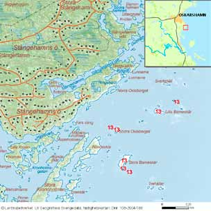 häckfågelfaunan i östra smålands ytterskärgård 1990-2008 69 Långa Hällen, Påsättaren och Berkeskär Inv. objekt nr 11. Oskarshamns kommun. Fågelvärde.