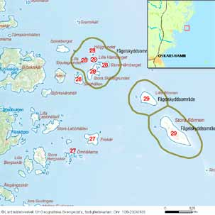 78 häckfågelfaunan i östra smålands ytterskärgård 1990-2008 Stora Skjutegrundet och Lilla Skjutegrundet Inv. objekt nr 28. Oskarshamns kommun. Fågelskyddsområde. Lågt fågelvärde.