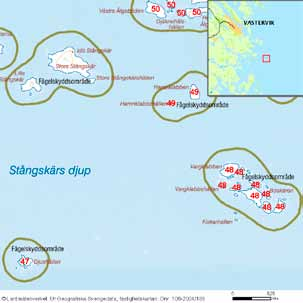 88 häckfågelfaunan i östra smålands ytterskärgård 1990-2008 Ornitologisk beskrivning: Den häckande fågelfaunan har alltid varit fåtalig under inventeringsperioden.