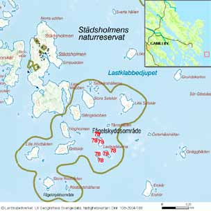 92 häckfågelfaunan i östra smålands ytterskärgård 1990-2008 Storkläppen Inv. objekt nr 130. Västerviks kommun. Städsholmens naturreservat. Fågelvärde.