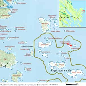 häckfågelfaunan i östra smålands ytterskärgård 1990-2008 95 Ornitologisk beskrivning: Häckningssäsongen 2007 påträffades ett rikare fågelliv än vid inventeringen 1984.