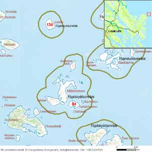 96 häckfågelfaunan i östra smålands ytterskärgård 1990-2008 Ornitologisk beskrivning: Den fågelfauna som häckade på skäret 1984 var något större i antalet arter och individer än vid inventeringarna