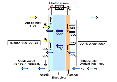 Smältkarbonatbränslecelle Anodmaterial: Porös Ni (5-10% Cr el Al) n Katodmaterial: Porös NiO dopad med litium H 2 +CO 3 2- H 2 O+