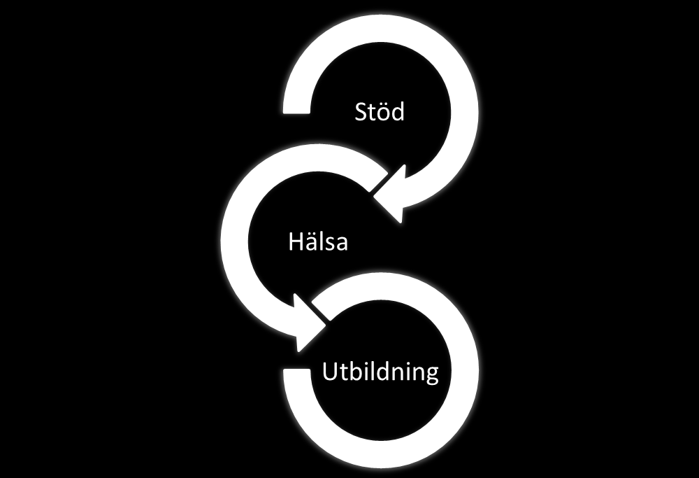 Hälsoprojektet