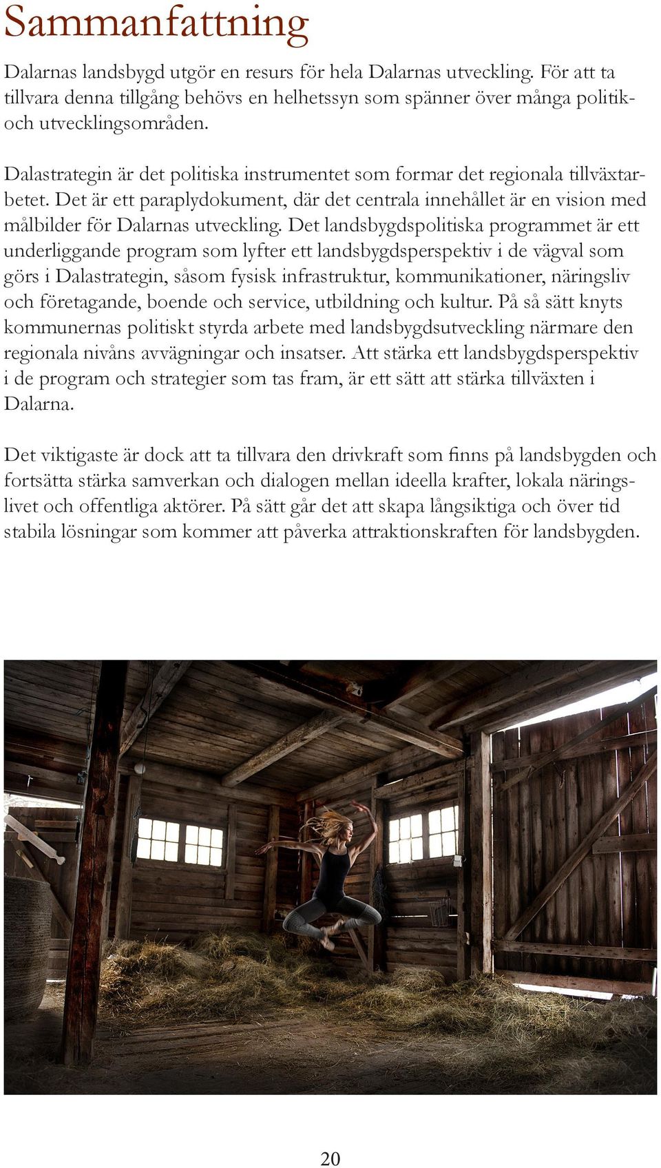 Det landsbygdspolitiska programmet är ett underliggande program som lyfter ett landsbygdsperspektiv i de vägval som görs i Dalastrategin, såsom fysisk infrastruktur, kommunikationer, näringsliv och
