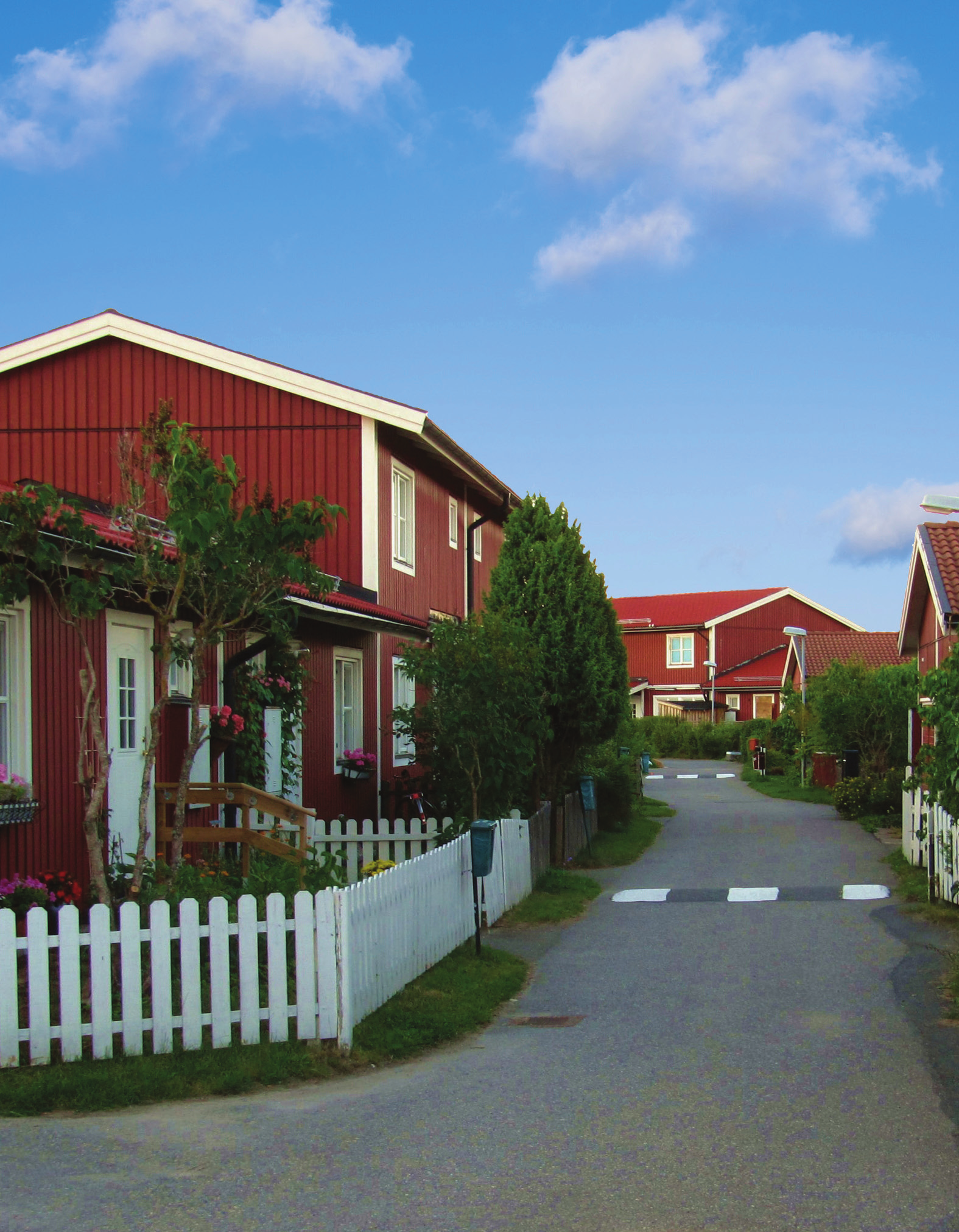 ÅRSREDOVISNING 2015