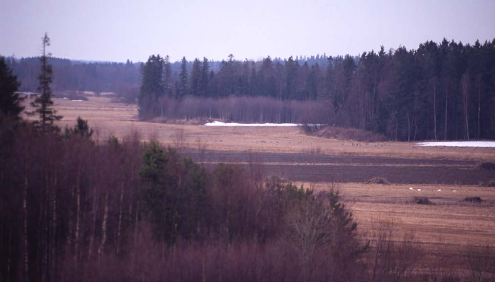 25 Fig. 13. Utsikt från den s k svinfarmen vid Degernäs bort mot Skäret, det avsnitt av jordbrukslandskapet Botniabanan kommer att passera.