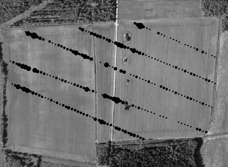 Figur. Flygbild över Skäret med resultatet från spillningsinventeringen 00 inlagt. Bilden motsvarar Fig. för 007.