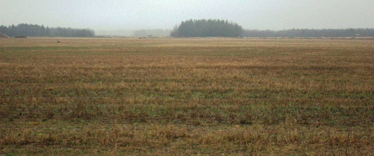7 Året 007 inleddes på ett ovanligt sätt. Jordbrukslandskapet vid Umeälvens mynningsområde var nämligen helt snöfritt under årets första dag (Bild & ).