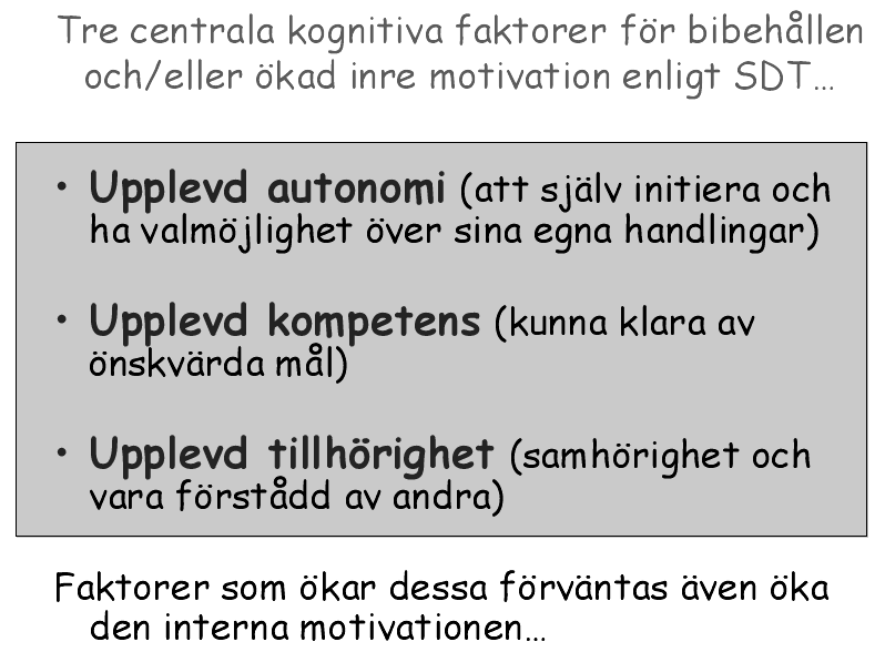 SDT (Deci & Ryan, 2000) Attributioner Vi vill gärna förstå orsakssammanhang: om A händer leder det till B. Jag missade kontrollen för att.. Orsaksförklaringar kan vara: Stabila/instabila: t.ex.