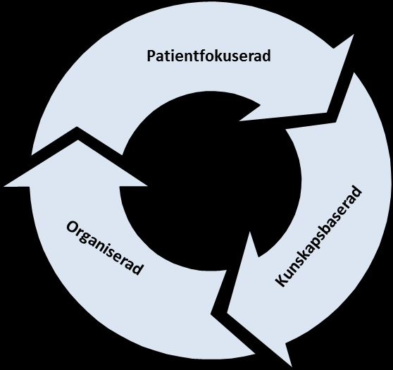 Viktiga perspektiv Målet med det nationella ramverket är att det ska vara ett användbart och levande verktyg i arbetet på alla nivåer med att öka patientsäkerheten.