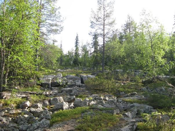 Järvistö Gällivare 11 km öster om Ullatti 7443540,1775863 (RT90) De omgivande produktiva gammelskogarna runt bergets lägre delar är avverkade och det är nu planterade ungskogar som växer där.