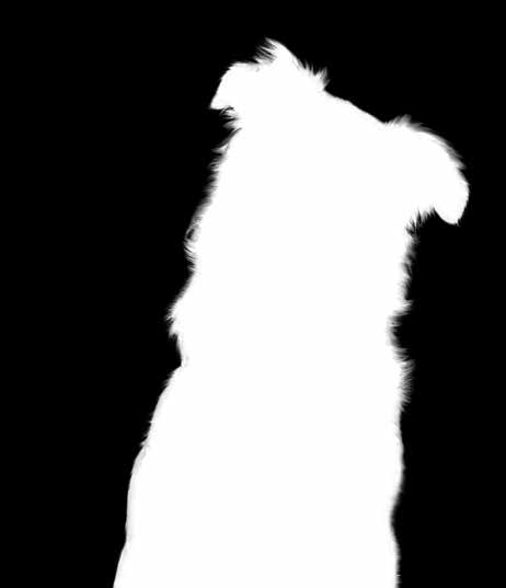 Smakrigt och gott Varsamt tillagat! Kombinera nytta med nöje! Hundgodis med hög kötthalt Perfekt som lyxigt mellanmål eller belöning för din katt. Hög halt av kött, taurin och viktiga vitaminer!