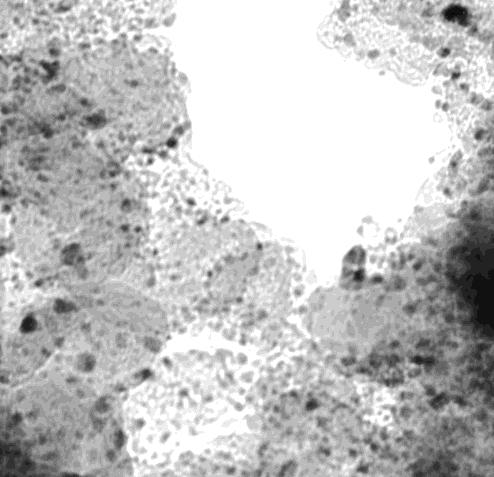 Bränslecellens kärna 1 µm Nafion Membranelektrolyt 20 nm Porös
