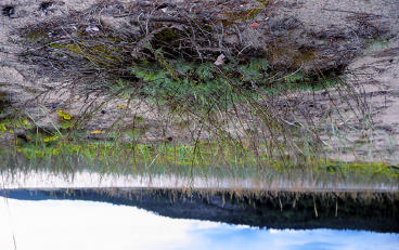 Kustinventeringen 2002-2004, Örnsköldsviks kommun Salusanden är en lång ekologiskt viktig sandstrand med dyner, å, bäckar och grund botten.