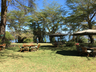 Tisdag 7 februari Avfärd mot Naivasha via Nyahururu/ Nakuru. Passerar ekvatorn och dyker ner i Rift Valley.