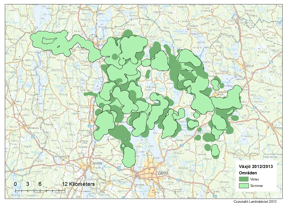 sina vinterområden och vandrade relativ sent till sina sommarområden. Korna kom tidsmässigt nära kalvningen till sina sommarområden.