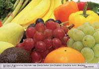 2. Nätverkspresentation 2. Nätverkspresentation Projektorn kan visa eller spela upp bilder från datorskärmen och ljuddata som skickas genom nätverket.
