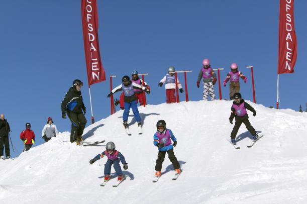 LAGLEDARMÖTE Informera övriga ledare och tränare om tiderna och om hur en skicrosstävling går till.