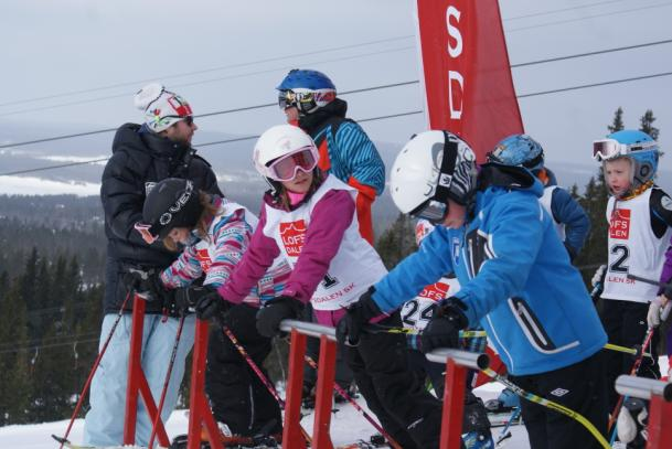 KLASSINDELNING Skicross körs i samma åldersindelning som i alpint.