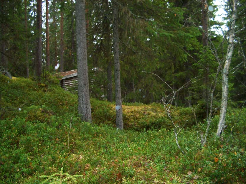 Forn- och kulturlämningar inom Månsbergets naturreservatsområde Fångstgropar Jakten på älg har i alla tider varit mycket viktig för människans försörjning.
