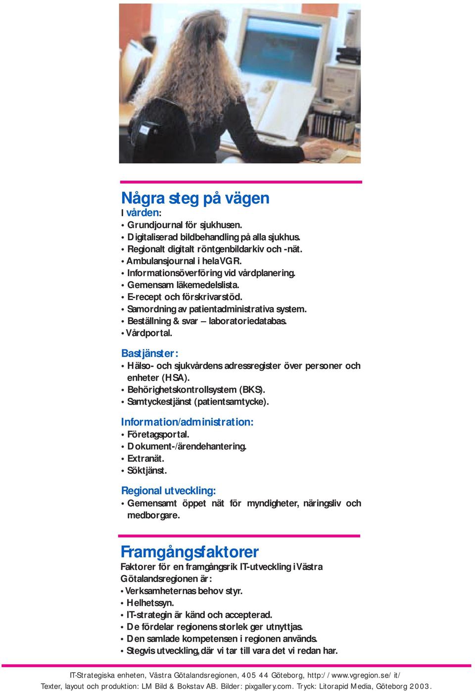 Bastjänster: Hälso- och sjukvårdens adressregister över personer och enheter (HSA). Behörighetskontrollsystem (BKS). Samtyckestjänst (patientsamtycke). Information/administration: Företagsportal.