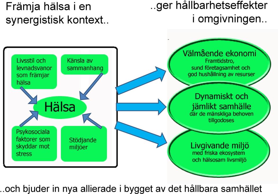 ...ger hållbarhetseffekter i