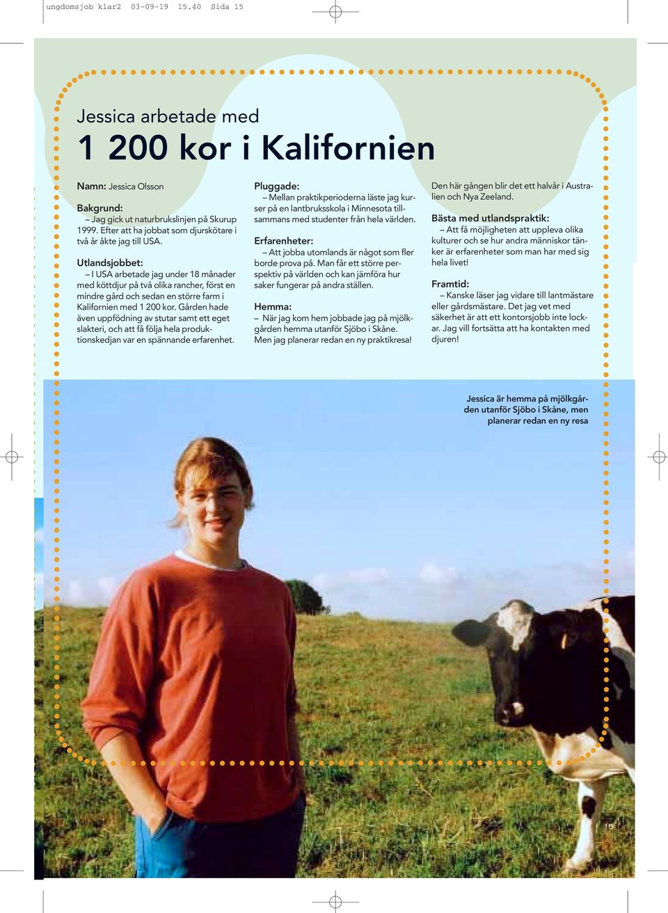 Utlandsjobbet: I USA arbetade jag under 18 månader med köttdjur på två olika rancher, först en mindre gård och sedan en större farm i Kalifornien med 1 200 kor.