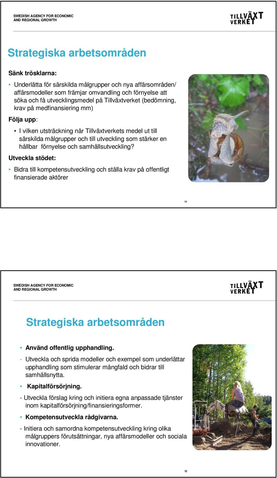 samhällsutveckling? Utveckla stödet: Bidra till kompetensutveckling och ställa krav på offentligt finansierade aktörer 11 Strategiska arbetsområden Använd offentlig upphandling.