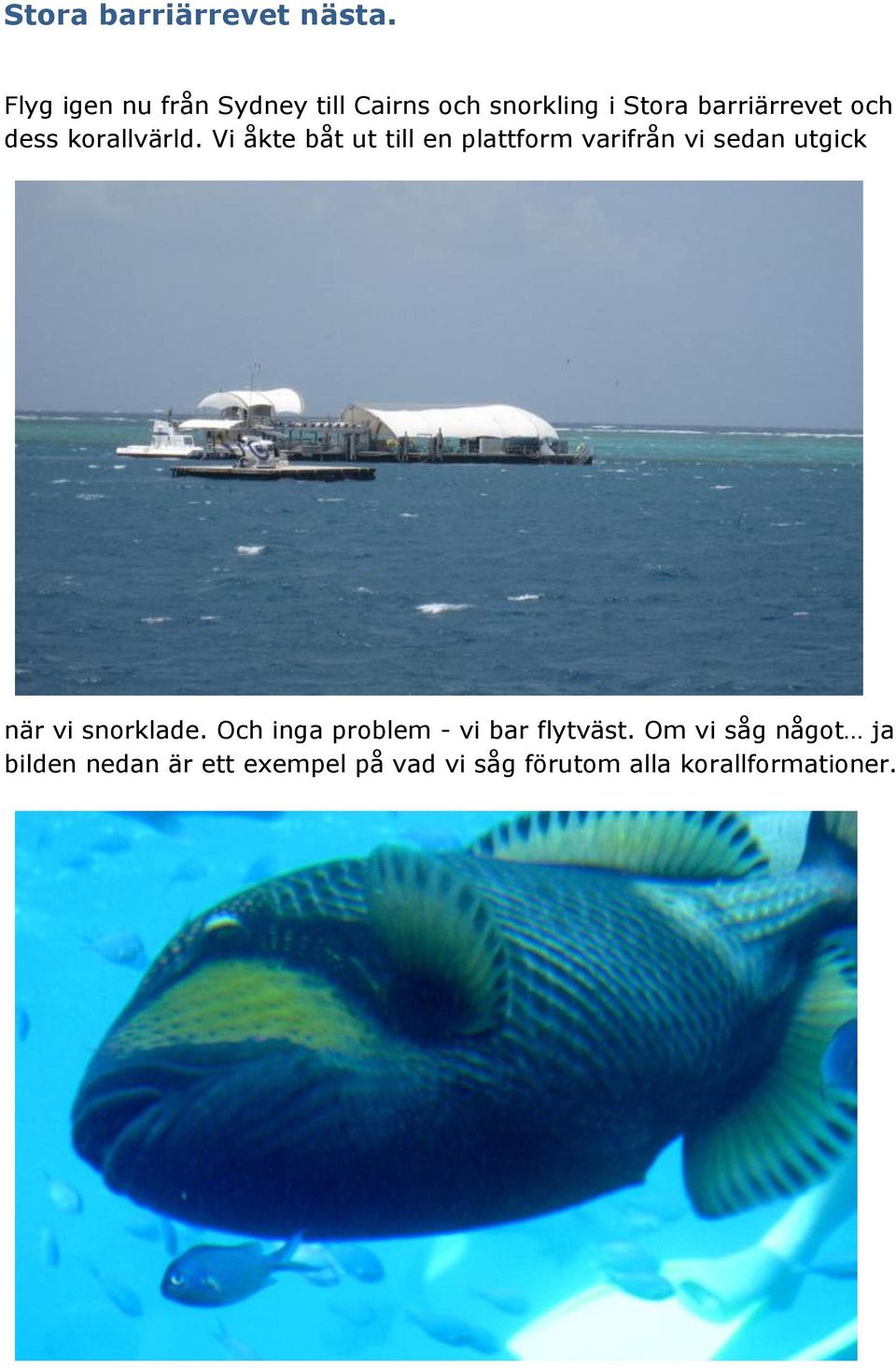 korallvärld.