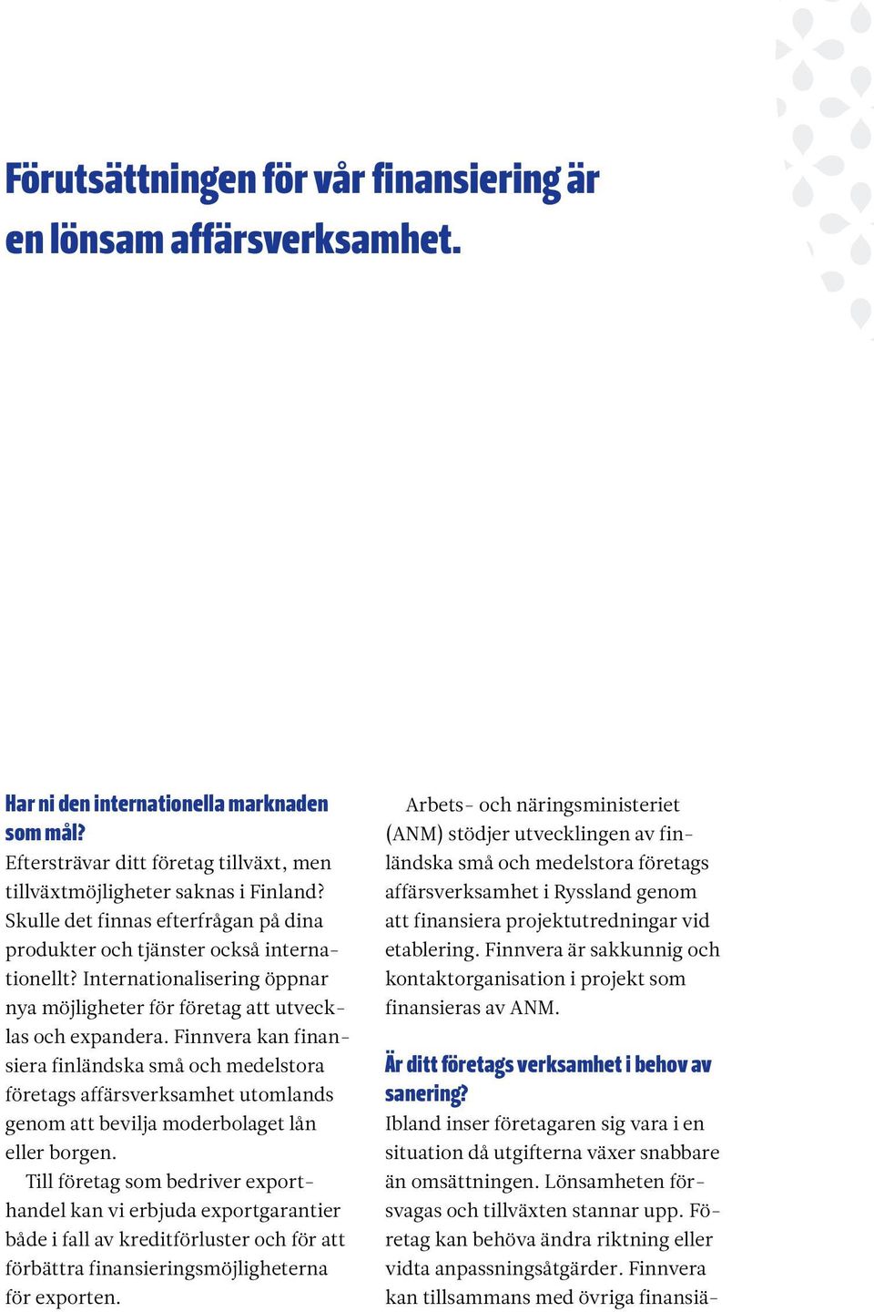 Finnvera kan finansiera finländska små och medelstora företags affärsverksamhet utomlands genom att bevilja moderbolaget lån eller borgen.