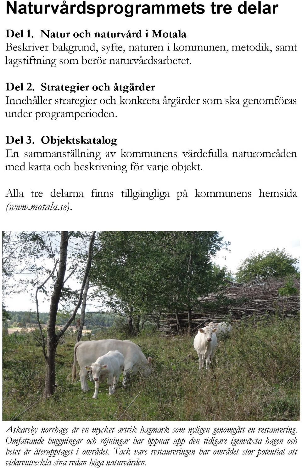 Objektskatalog En sammanställning av kommunens värdefulla naturområden med karta och beskrivning för varje objekt. Alla tre delarna finns tillgängliga på kommunens hemsida (www.motala.se).