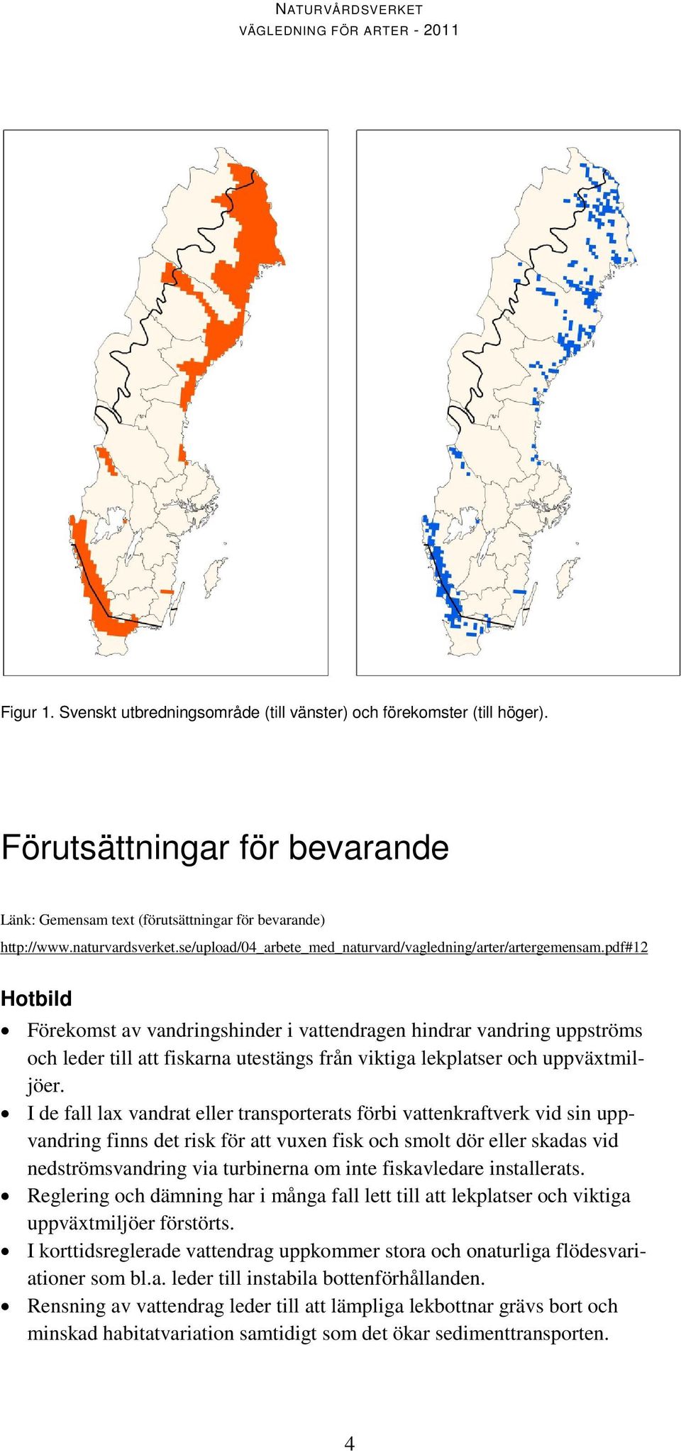 pdf#12 Hotbild Förekomst av vandringshinder i vattendragen hindrar vandring uppströms och leder till att fiskarna utestängs från viktiga lekplatser och uppväxtmiljöer.