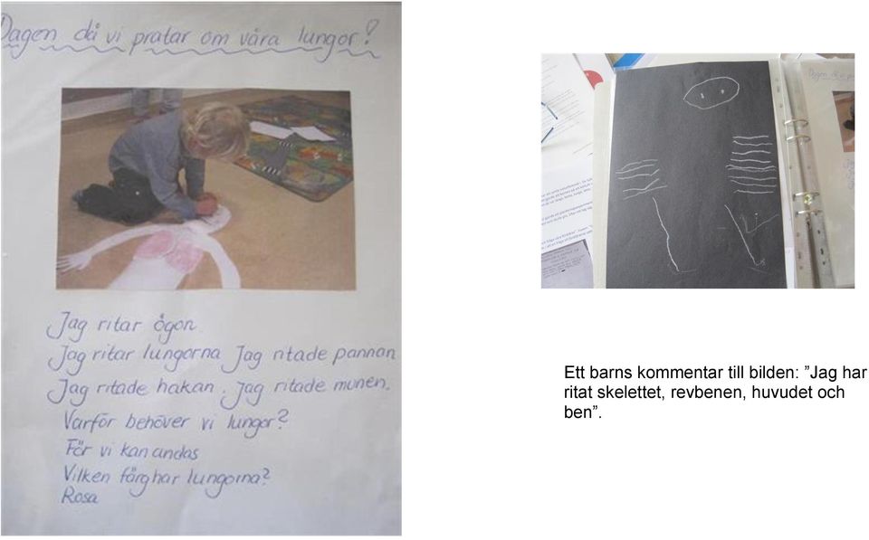 ritat skelettet,