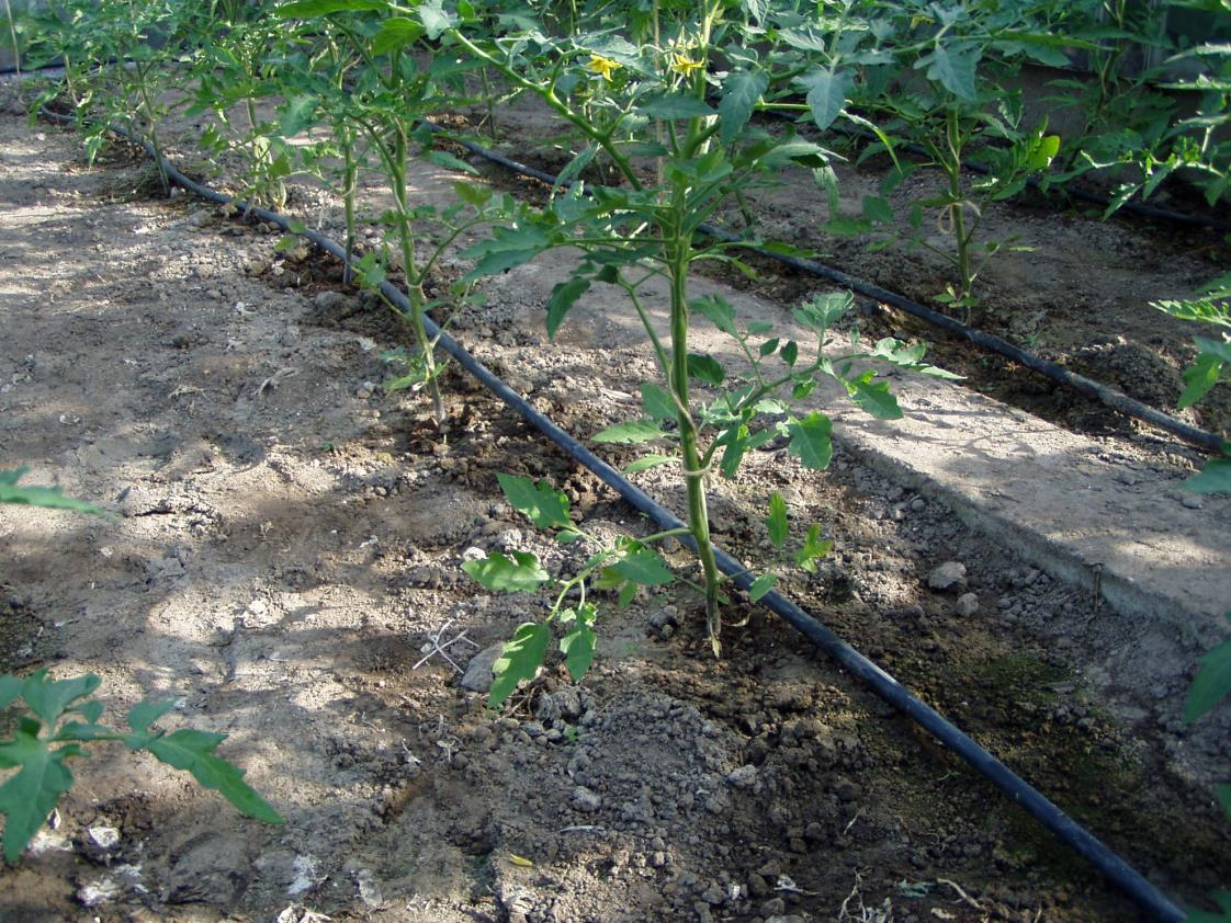Lösningar för vattenhushållning i jordodling inklusive ekologisk odling
