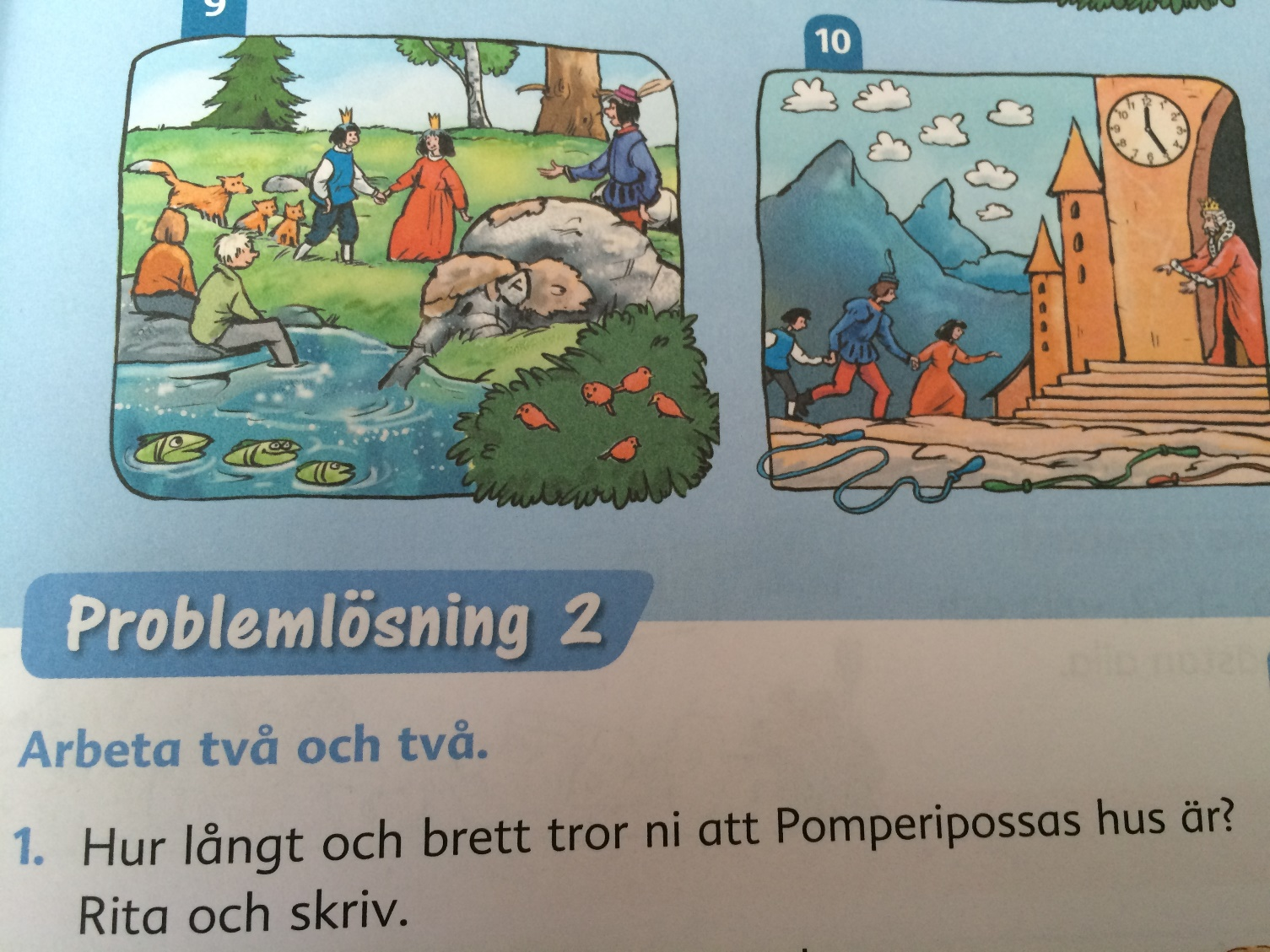Problemlösningsuppgift Mästerkatten